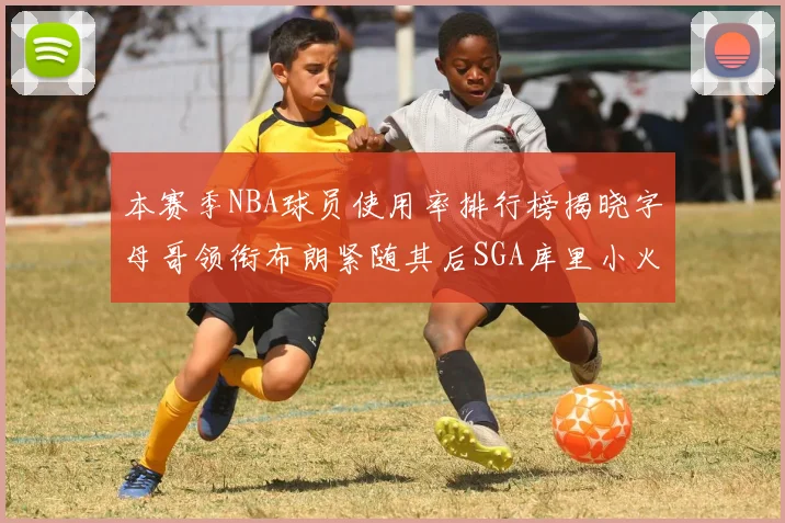 本赛季NBA球员使用率排行榜揭晓字母哥领衔布朗紧随其后SGA库里小火车紧追不舍