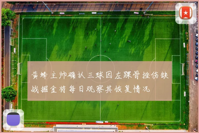 黄蜂主帅确认三球因左踝骨挫伤缺战掘金将每日观察其恢复情况
