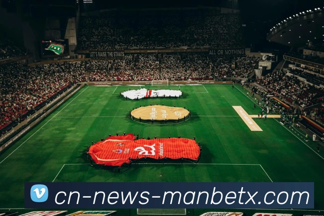 App Interface Preview